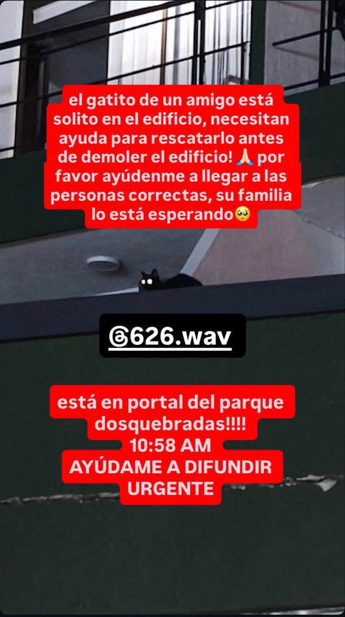 kafferyd's tweet photo. ‼️‼️‼️EN PEREIRA ‼️‼️‼️‼️ 😭😭😭 https://t.co/RuFPxI9hNC