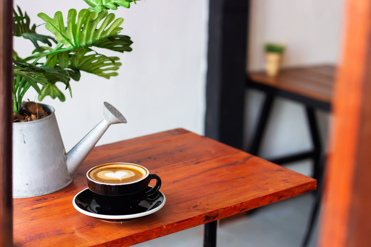 ElizabethDePauw's tweet photo. Just had the most refreshing slow morning with homemade oat milk latte and a book—small, perfect new vibes that make every day feel special. https://t.co/kHlIJxFUB5