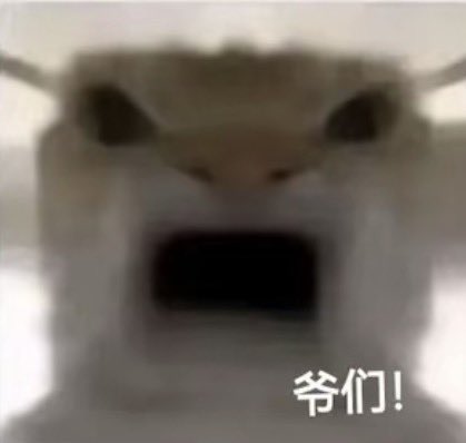 bbb84165069's tweet photo. @cz_binance @QuintenFrancois 爷们儿 https://t.co/VVxpUVWoa7