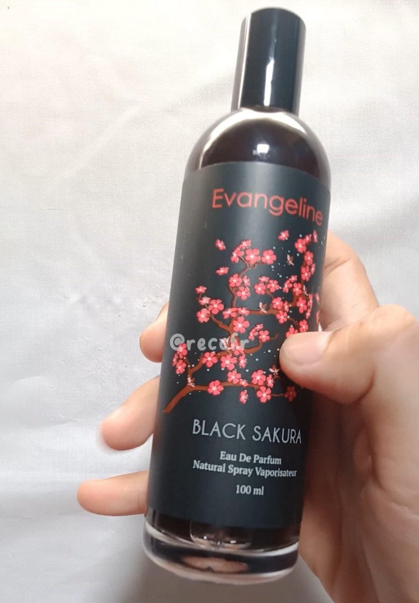 reccfr's tweet photo. Evangeline yang varian black sakura wanginya enak bangettt. Manis seger gitu wanginya, dan gak bikin enek juga. Mana harganya murah dapat 100ml 🫶

🍊 https://t.co/GckKCZU5DN https://t.co/nNtGSXpUC1