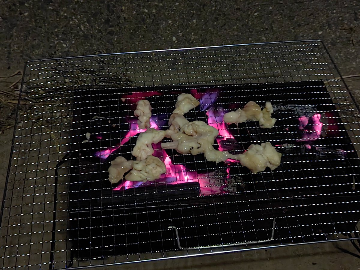 D_KIMERA's tweet photo. ちょっと火起こしすぎた https://t.co/lT8JgkQeDR