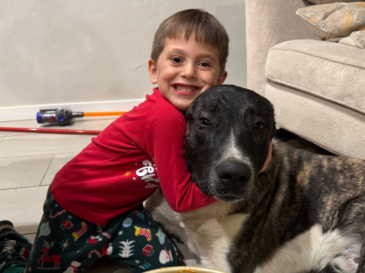 TheRealMadOx's tweet photo. Pima County bureaucrats still want to kill a veteran’s family dog over one startled nip on his own property.

Sergeant Snuggles, a young Anatolian Shepherd, bit grandma in October 2025 near Tucson while guarding against coyotes. She recovered, said it was her fault for startling him, and has been fighting to bring him home to the kids ever since. They locked him up for nearly 10 months with no visits and racked up over $15,000 in fees. Family offered fencing, training, everything. Court still pushes euthanasia.

Hannity has put this on the national stage. 

This is pure government overreach. A livestock guardian doing his job gets a death sentence while the actual “victim” begs for his life. Let the boy have his dog back. #SaveSnuggles 

H/t @seanhannity