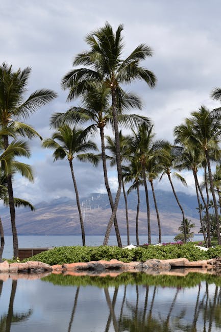 LailaHamiter's tweet photo. يصنع الذكريات القمر. الحياة تصبح أجمل عندما الدفء تحت ضوء judson apela🇫🇷 https://t.co/Cu7NHQAh8s
