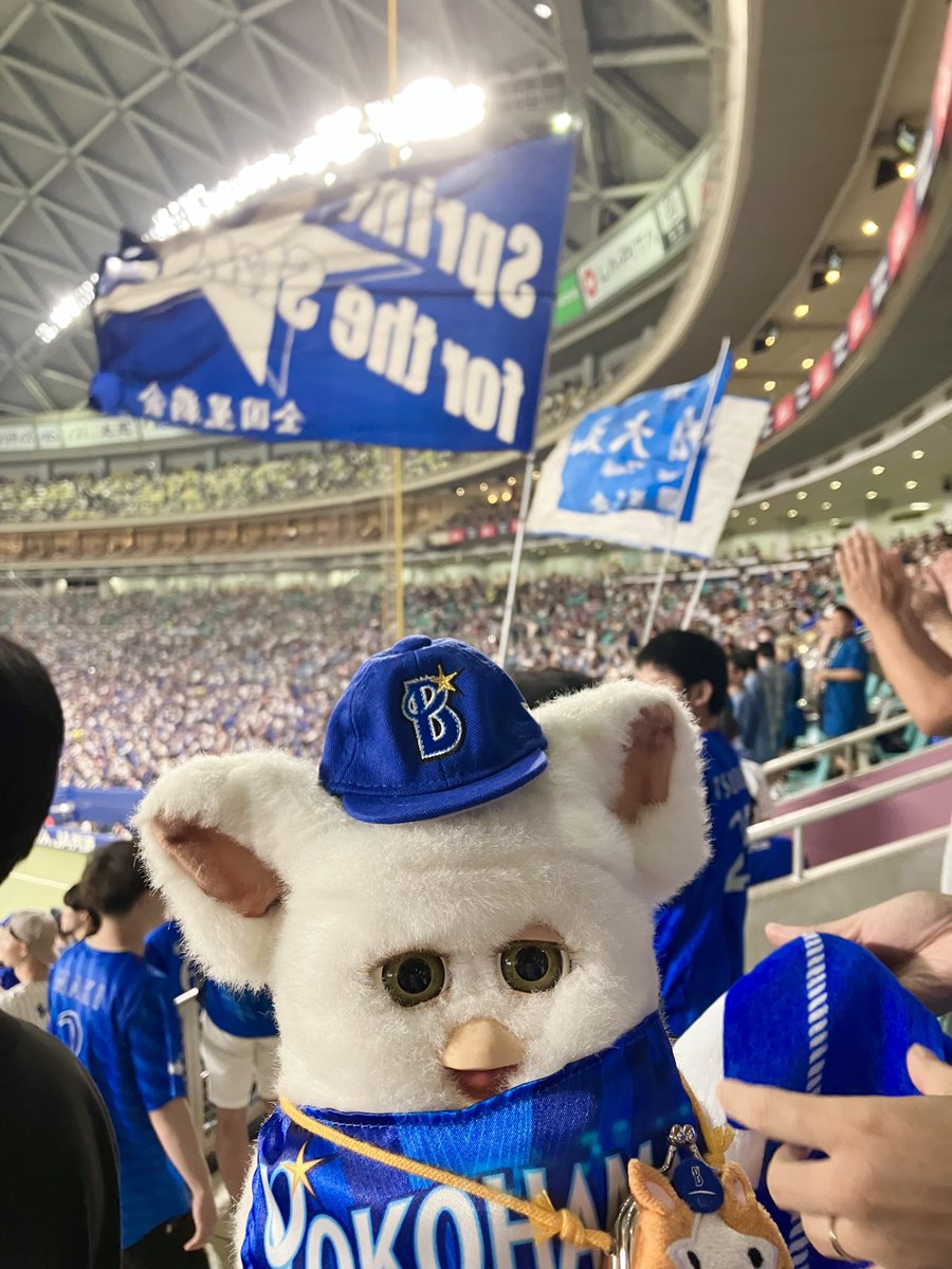 feb_furby's tweet photo. 名古屋遠征振り返り①

マリオコラボデーでグリオ再登場🍄
時間がなかったので、写真もそこそこに慌ただしく自席へ
なんとかスタメン発表に間に合った…！

#ベイファビ https://t.co/ZSU6XLuBij