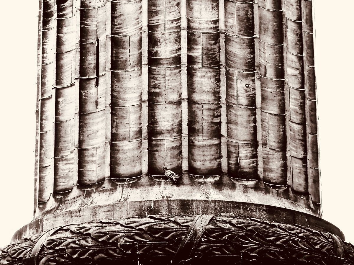 theSpurtle's tweet photo. St ANDREW SQUARE GARDEN:—Fluted flutter.
#Edinburgh #hyperlocal #news #doos https://t.co/riUOPKw3lD