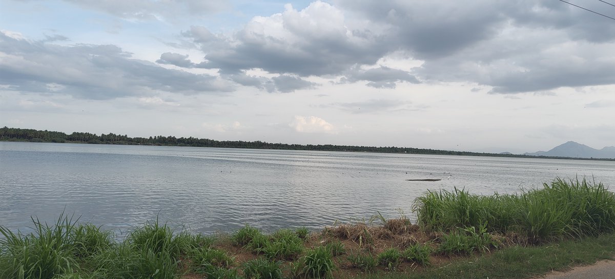 vineshpathi's tweet photo. Native place lake #lake #barur #NatureEscape https://t.co/LYGwyKienH