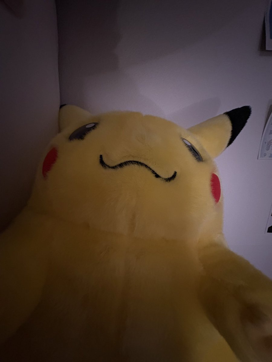 7_SiCheng's tweet photo. ピカチュウに会いたいがために早く一人暮らしの部屋に帰りたい⚡️ https://t.co/dYz5l3Tbor