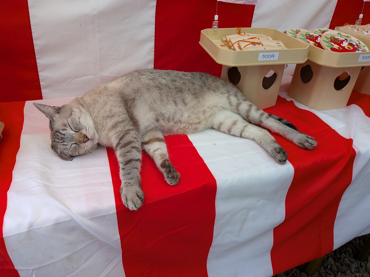 nyankichisora's tweet photo. 可愛い猫神様が居ました(●´ω｀●)✨️
ペットさん用の鳥居がちびちびで可愛いらしかったです(●´ω｀●)✨️
#白鬚神社 https://t.co/DKUrQBPdyq