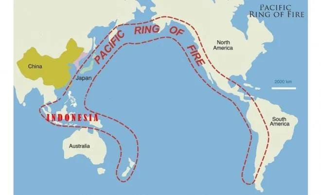 IndonesiaFedera's tweet photo. CINCIN API PASIFIK MENGIRIM SINYAL BAHAYA: 6 GEMPA KUAT DALAM 10 HARI TERAKHIR! 

Bumi Pasifik sedang tidak baik-baik saja. Dalam kurun waktu hanya 10 hari (5–15 Agustus 2026), Sabuk Sirkum-Pasifik (Ring of Fire) melepaskan gelombang energi tektonik raksasa secara beruntun. Ini bukan sekadar kebetulan statistik, melainkan alarm keras bagi kesiapsiagaan bencana global dan nasional!

🔥
RENTETAN 6 GEMPA KUAT PASIFIK (5–15 AGUSTUS 2026):

1. Filipina 👉 M6.3 (5 Agustus 2026)
Guncangan kuat menghantam palung Filipina, membuka eskalasi seismik kawasan Pasifik Barat.
2. Selandia Baru 👉 M6.3 (5 Agustus 2026)
Hanya dalam selang jam, segmen selatan Ring of Fire di Selandia Baru melepaskan energi menengah-kuat.
3. Indonesia 👉 M5.7 (5 Agustus 2026)
Dinamika tektonik merambat ke wilayah Busur Sunda, menghentak kawasan Indonesia.
4. Filipina 👉 M5.6 (6 Agustus 2026)
Gempa susulan berkekuatan signifikan kembali meletup di Filipina.
5. Kolombia 👉 M7.4 (10 Agustus 2026)
Sisi timur Cincin Api Pasifik bergejolak hebat. Gempa dangkal M7.4 mengguncang Amerika Selatan.
6. Indonesia (Flores, NTT) 👉 M7.7 (15 Agustus 2026)
Puncaknya hari ini! Gempa mega-thrust lokal M7.7 menghantam utara Flores, diikuti puluhan aftershocks dan menelan puluhan korban jiwa.

⚡ UPDATE TERKINI: DUA ELEMEN GEMPA INDONESIA HARI INI (15 AGUSTUS 2026)

📍 FLORES, NTT (Sesar Naik Busur Belakang Flores):
• Magnitudo: M7.7 | Kedalaman: Dangkal (Dasar Laut Utara Nagekeo)
• Gempa Susulan: BMKG mencatat lebih dari 35+ kali gempa susulan (M3.5 - M5.2) sepanjang hari ini.
• Korban Jiwa & Kerusakan: Data BNPB mengonfirmasi sedikitnya 38 orang meninggal dunia (terbanyak di Manggarai & Sikka) serta ribuan warga mengungsi.
• Dampak Getaran: Terasa hingga Labuan Bajo, Ruteng, Ende, Maumere, Sumba, Bima, Lombok, hingga pesisir Sulawesi Selatan.

📍 SIMALUNGUN, SUMATERA UTARA (Subduksi Indo-Australia):
• Waktu: Pukul 17.54 WIB | Magnitudo: M6.4
• Kedalaman: 163 km (Gempa Menengah-Dalam)
• Korban Jiwa: NIHIL / Belum ada laporan kerusakan fatal dari BPBD Sumut (TIDAK BERPOTENSI TSUNAMI).
• Jangkauan Getaran: Merambat luas dari Simalungun, Pematangsiantar (Skala IV MMI), Tapanuli Tengah, Sibolga, Pandan, Barus (Skala III MMI), hingga Kota Medan dan Aceh.

📢 PESAN CRITICAL UNTUK WARGA DI ZONA RED:

1. Waspadai Fenomena "Stress Transfer"
Pelepasan energi masif di Flores (M7.7) dan deformasi dalam Simalungun (M6.4) membuktikan lempeng tektonik Nusantara sedang sangat aktif. Waspadai pelepasan tekanan lanjutan di *seismic gap* segmen Flores-Sumbawa-Lombok serta zona Sesar Sumatra (Renun/Toru).

2. Untuk Warga NTT & Pesisir Selatan/Timur:
• Jangan buru-buru memasuki bangunan yang retak struktur akibat rentetan gempa susulan.
• Jika berada di pesisir dan merasakan guncangan kuat >20 detik, segera lakukan evakuasi mandiri ke tempat tinggi (Prinsip 20-20-20).

3. Untuk Warga Sumatra Utara & Sekitarnya:
• Tetap tenang, gempa Simalungun berada di kedalaman 163 km dan tidak memicu tsunami.
• Selalu periksa fisik hunian sebelum tidur malam ini dan abaikan isu spekulatif yang bukan berasal dari BMKG/BPBD.

Cincin Api Pasifik telah melempar sinyal. Saatnya pemerintah daerah dan masyarakat meningkatkan kesiapsiagaan darurat! 🇮🇩🌐