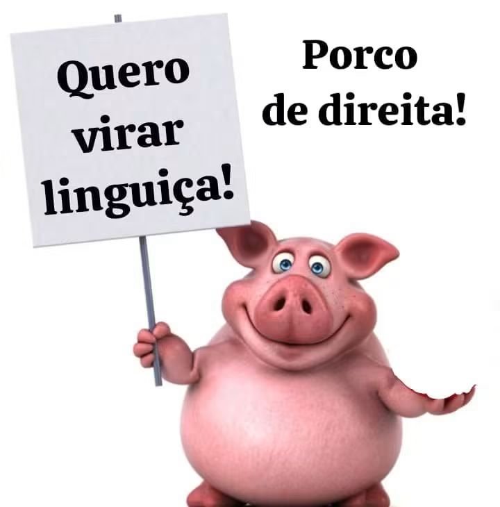 sergiobernardo's tweet photo. Coitado do porquinho de direita ... https://t.co/KahwLNGMI0
