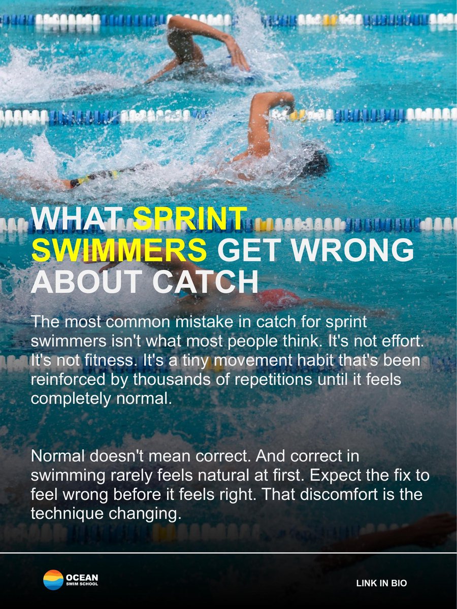 theoceanswim's tweet photo. https://t.co/VrFoptemSI
