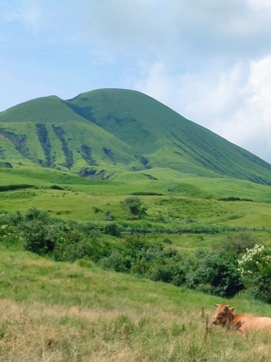 botreetee's tweet photo. お盆に 阿蘇 草千里 へ

雄大な自然と牧歌的な風景🐂🐎に癒されて

ご先祖様や 亡き人たちのこと
平和のありがたさに
思いを馳せてしまいました
🙏 https://t.co/fhi1LUx6di