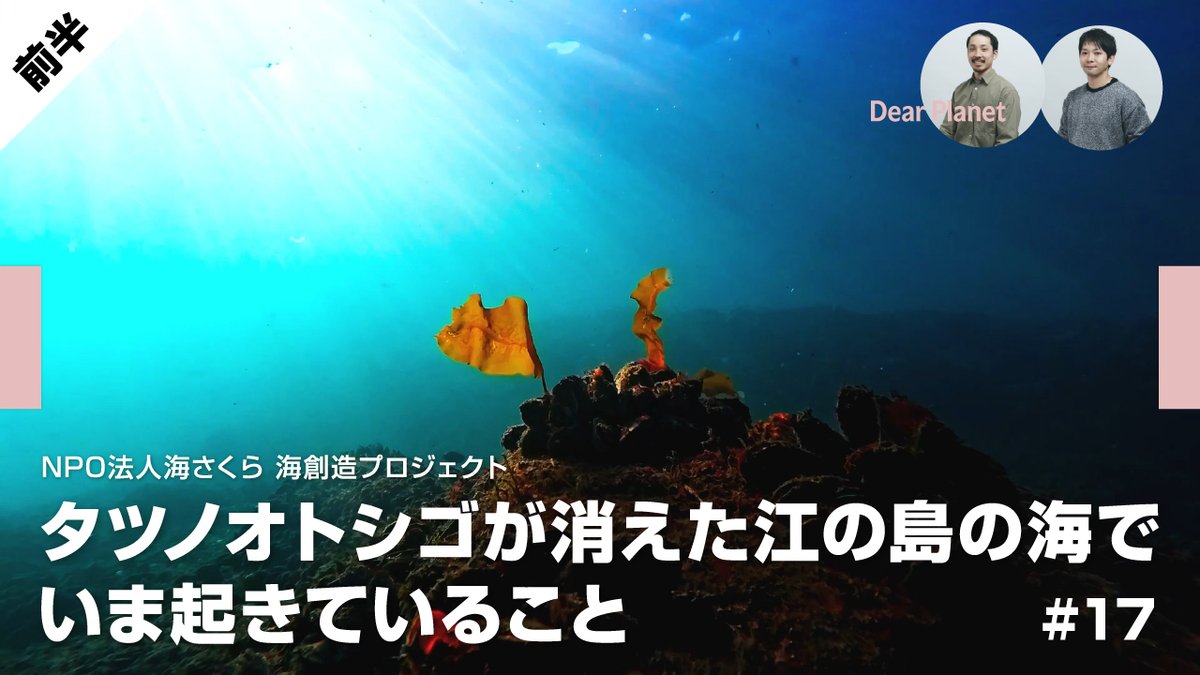 dearplanet_2's tweet photo. 江の島の海に、昔"タツノオトシゴ"がいた——
知ってましたか？?

いま、その"海の森"が消えています🌊
NPO海さくらの挑戦に密着した新エピソード【前半】、公開しました。
この夏、江の島に行く人にこそ観てほしい。

▶ https://t.co/V1y3GhwpuV

#海さくら #江の島 #ディアプラネット #DearPlanet https://t.co/rIZo0uCRu3