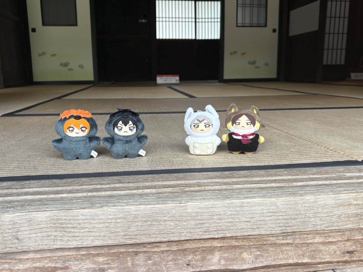 Yut0202's tweet photo. ちみーずとリトル.ワールド🗺️
ちみすなは2回目！
今年初の花火観に行ってきたよ🎆

今週お迎えした、ちみしょよも一緒にお出かけしてきました☺️
初めてのアイスに嬉しそうなちみしょよと、ローズのかき氷に興味津々なちみきたさん📸
素敵なお休みの締めくくりになりました〜
 #うちのちみけも https://t.co/godyT45sYZ