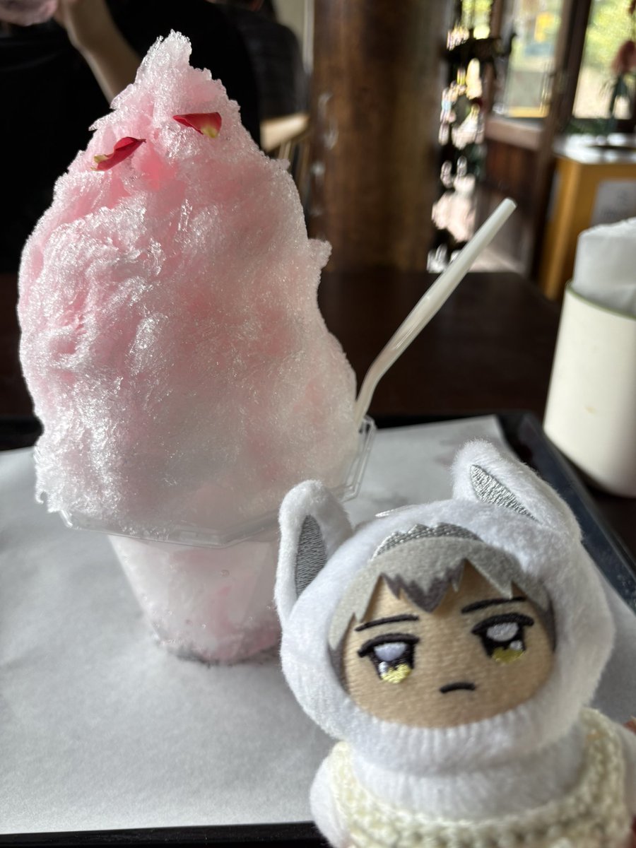Yut0202's tweet photo. ちみーずとリトル.ワールド🗺️
ちみすなは2回目！
今年初の花火観に行ってきたよ🎆

今週お迎えした、ちみしょよも一緒にお出かけしてきました☺️
初めてのアイスに嬉しそうなちみしょよと、ローズのかき氷に興味津々なちみきたさん📸
素敵なお休みの締めくくりになりました〜
 #うちのちみけも https://t.co/godyT45sYZ