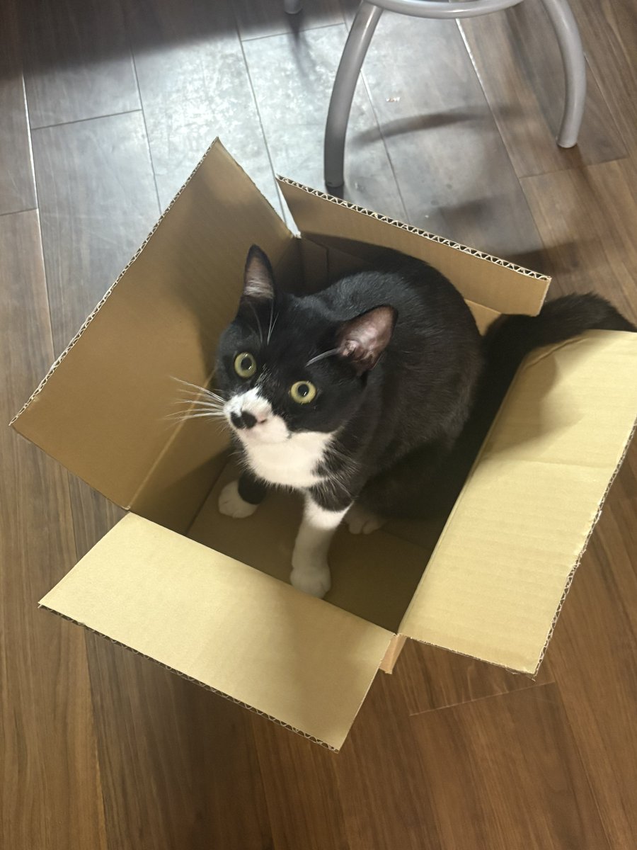6nou0613's tweet photo. ダンボール https://t.co/xNrNWqPZYK