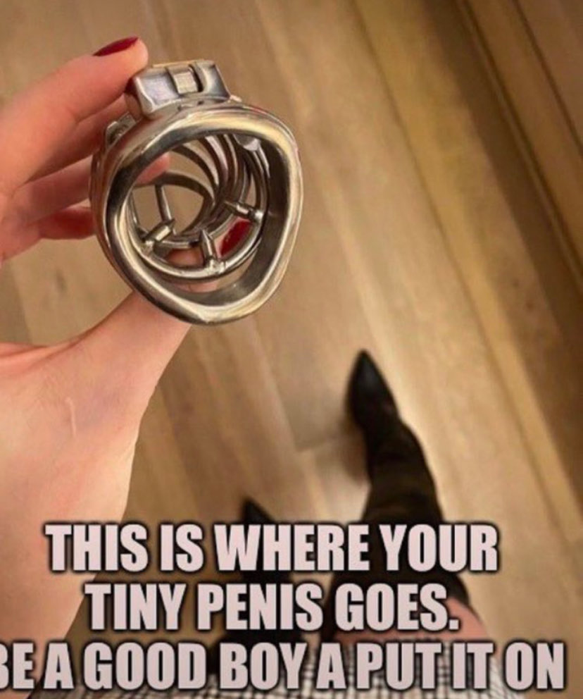 goddessshelliey's tweet photo. Like, Retweet and get noticed if you know this is where your tiny limped meat belongs ? 🤔 #sissy https://t.co/EtdkTAi8LZ