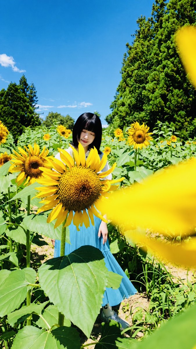 Crumina_'s tweet photo. 2026.08.16
____________________________🌻

ありがとう

この世界に生まれて
今日まで生きてこられたのは
出会ってくださった皆様のおかげです

家族 友達 仲間
私と出会い 世界を見つけ
大切にしてくださった
すべての皆様に心から感謝しています

自分の心が動く物語を
ひとつずつ選びながら
感動も
ワクワクも
怖さも
ひと休みも
全部味わって
人間を全うしたいと思います
人生という遊園地を
最後まで思いきり楽しんで

これからも
よろしくお願いいたします