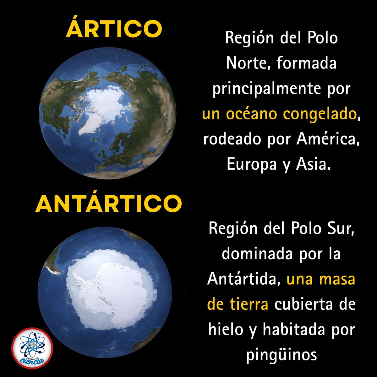 EnsedeCiencia's tweet photo. Aunque parecen dos enormes mundos de hielo, el Ártico y la Antártida son geográficamente muy diferentes. 🌎❄️

El Ártico está dominado por un océano rodeado por América, Europa y Asia, mientras que la Antártida es todo lo contrario: un enorme continente cubierto de hielo y rodeado por el océano Austral.

Una diferencia sencilla, pero sorprendente, entre los dos extremos de nuestro planeta. 🧊🐧