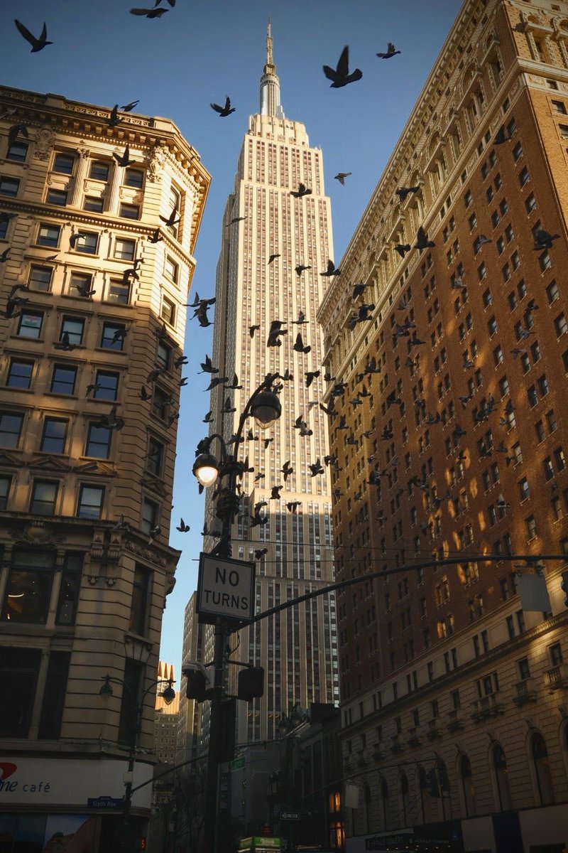 framesbyers's tweet photo. morning with some nice photos of ny
it's incredible to be able to photograph the same city every day and still have every photo turn out completely different https://t.co/WLGw9NxkI9