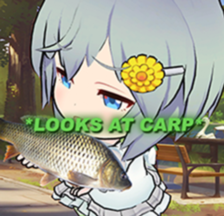 Terk_MC's tweet photo. *looks at carp* https://t.co/upig16n2GA