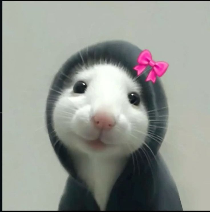 Katreena_85's tweet photo. Hi cutie🎀 https://t.co/krQAr2ihIS