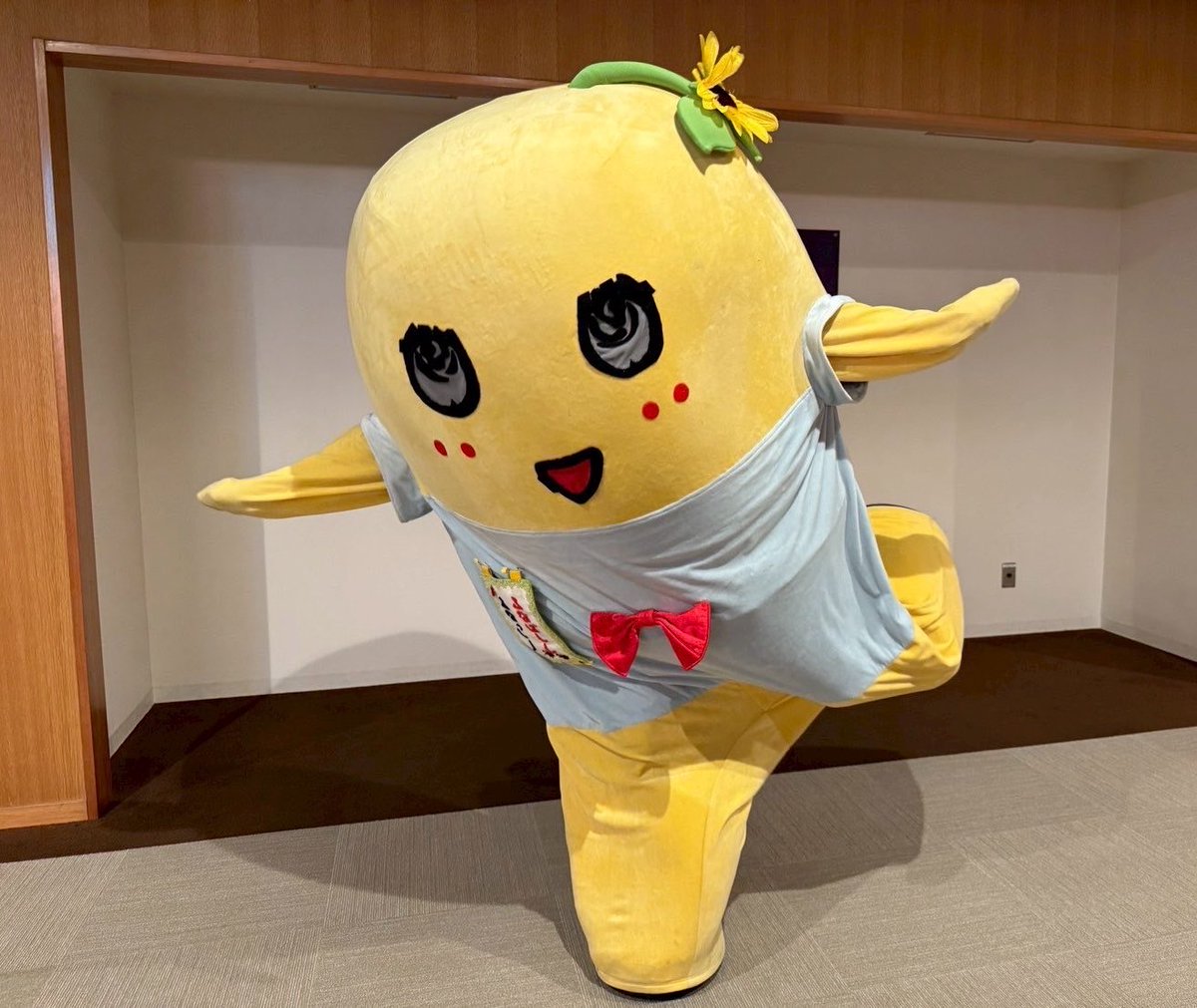 funassyi tweet picture