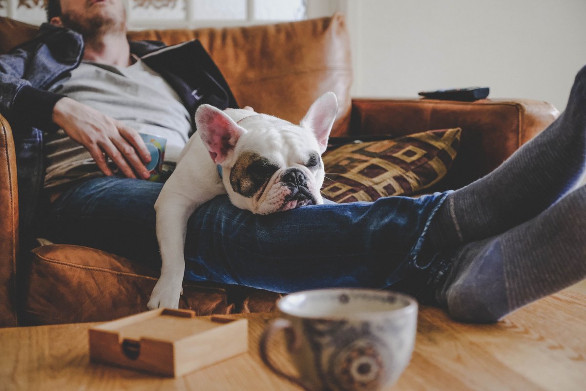 comfortheating_'s tweet photo. It's National Relaxation Day!

We hope your home is as comfortable as it can be today, and that the thermostat doesn't need to be adjusted even once. https://t.co/oqPcWeIYxn