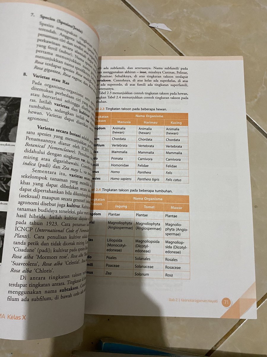 raibosom's tweet photo. WTS
preloved buku biologi
preloved textbook erlangga

Buku pelajaran Biologi erlangga Irnaningtyas SMA/MA kelas X
50k bisa nego
kondisi bersih dan sampul plastik

dom bdg

tags zona uang, preloved buku, buku paket, buku sma, buku biologi https://t.co/XOVv4xfDFD