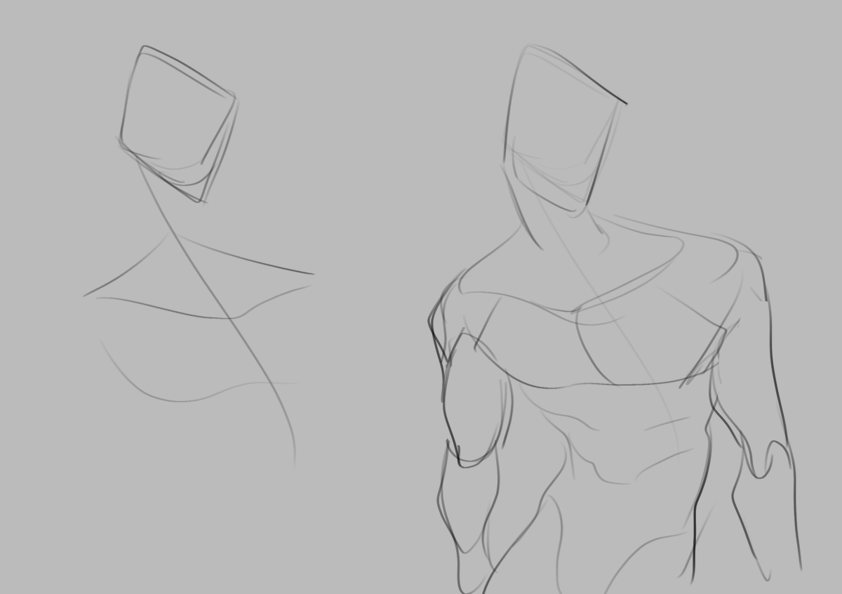 Forestguiide's tweet photo. @AniDummy I usually start with the head and then draw a line for the pose I thought of representing the spine, and from there I draw the chest and torso
Sometimes I position the hands and at the end I draw a neck and arms to join everything together hehe https://t.co/Kzp7Gv2vVQ