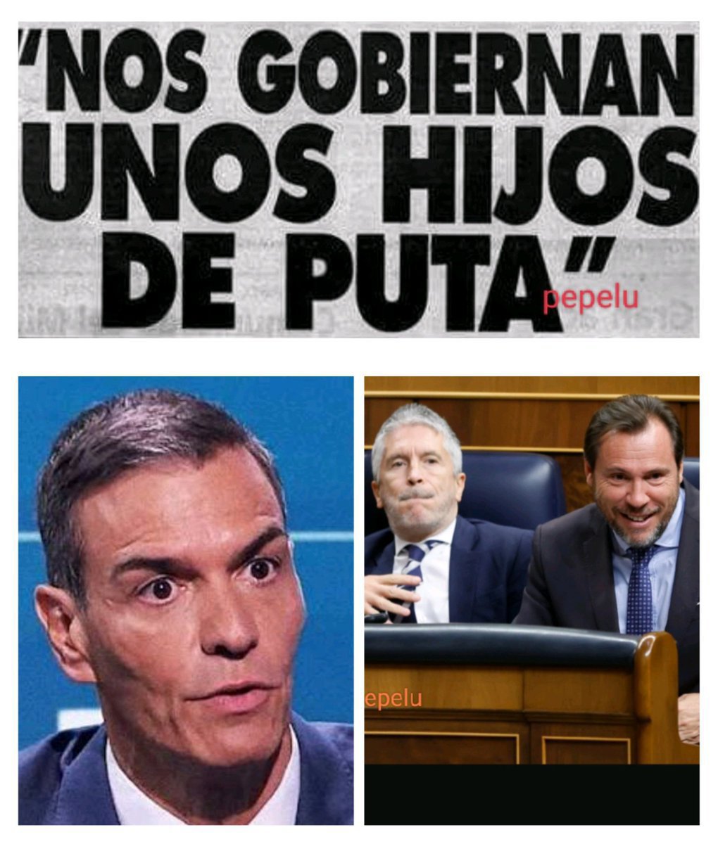 anselmo61116025's tweet photo. Éstos tres inútiles, corruptos,
escoria comunista,serán juzgados 
y encarcelados,por alta traición 
a España,y los españoles. https://t.co/SriqOzRU0P
