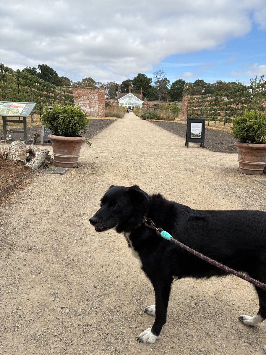 GeordieHound's tweet photo. Happy Sausage Saturday!
Today we had a Holiday Adventure to Clumber Park where we explored a walled garden,a Roman temple and a gothic revival chapel. It’s been a grand day out https://t.co/S8yyhvNjte