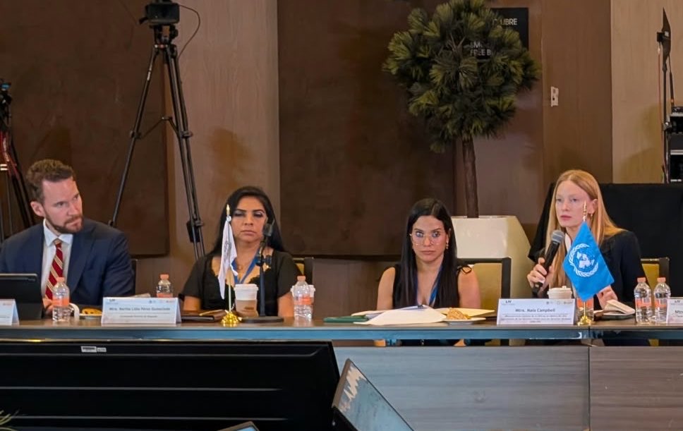 ONUDHmexico's tweet photo. Participamos @ONUDHmexico y @UNFPAMexico en la Conferencia Nacional de Procuración de Justicia, en el marco de nuestra cooperación técnica para fortalecer la búsqueda, la identificación humana y la investigación de las #desapariciones.

Saludamos la actualización del Protocolo Homologado de Investigación para los Delitos de Desaparición Forzada y Desaparición Cometida por Particulares, proceso al que contribuimos mediante asistencia técnica.

@FGRMexico @Busqueda_MX