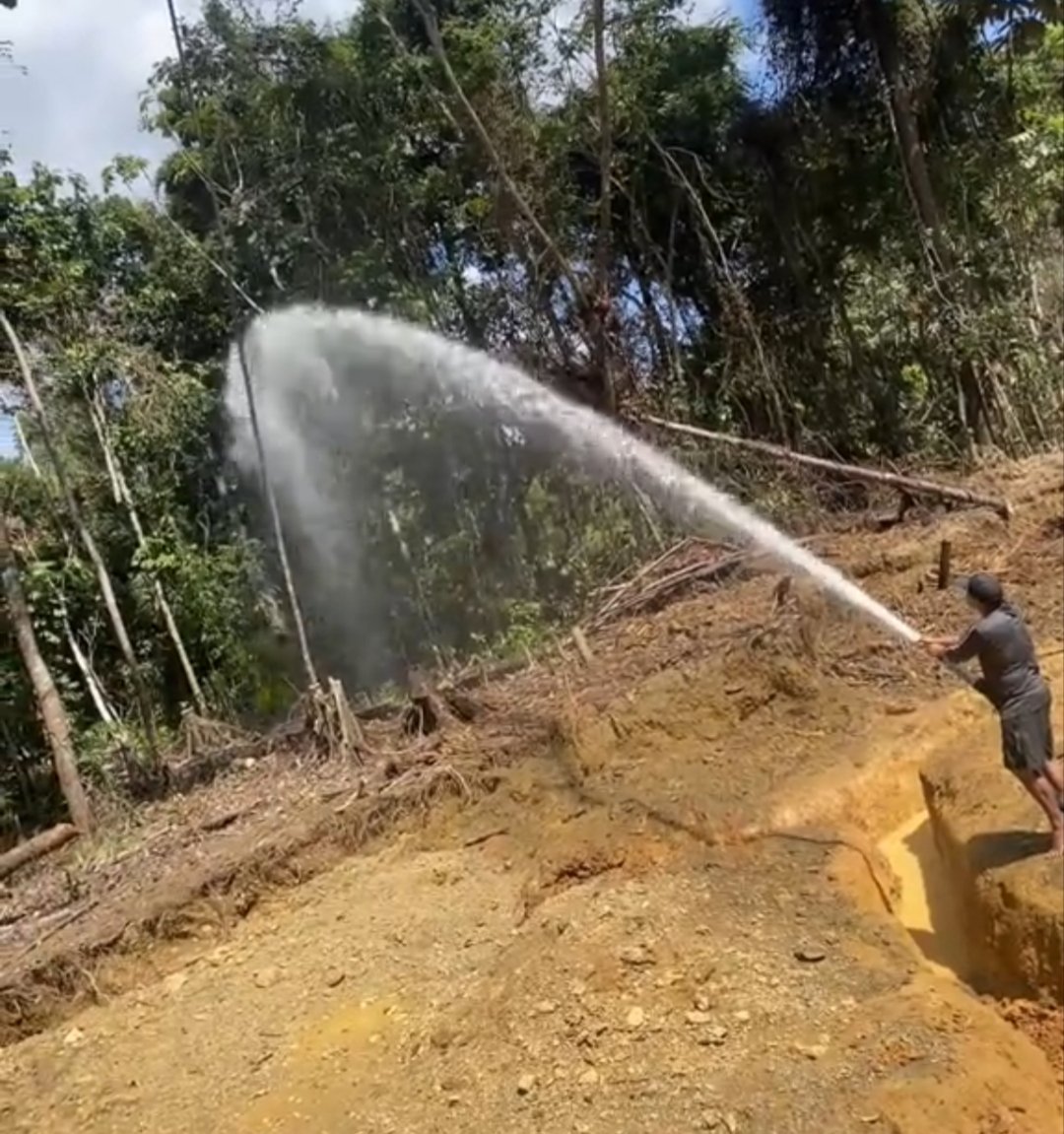 Fritz_A_Sanchez's tweet photo. #Atencion #Venezuela 

🚨 El extractivismo aurífero ilegal avanza devastando los bosques de la región de #Guariche, al sur de #ElManteco, municipio Piar #edoBolivar 

Lo que alguna vez fue selva, hoy es removido con monitores hidráulicos para extraer oro: árboles derribados, suelos destruidos y sedimentos que terminan alterando los cauces.

La devastación no se detiene. Cada frente minero significa más bosque perdido y mayor deterioro de los ecosistemas al #SurDelOrinoco 

#AmbienteSinDerechos 
#VenezuelaFragmentada 
#EconomiasIlicitas