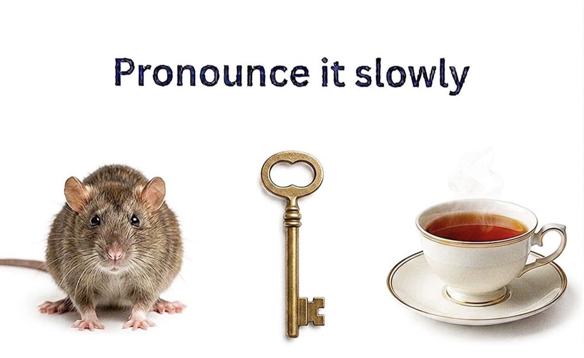 HaYoMiDe_'s tweet photo. Let’s go https://t.co/m9jo6RTG7N