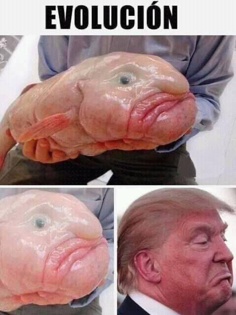anna0ter's tweet photo. There’s no difference https://t.co/1AWM2OAV3h
