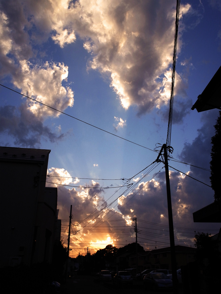itijyotaro's tweet photo. #GRD
#GRX
昔のリコーのカメラで撮った写真を見返してる
リコーの色好きだなぁ https://t.co/H1OTrQDfDB