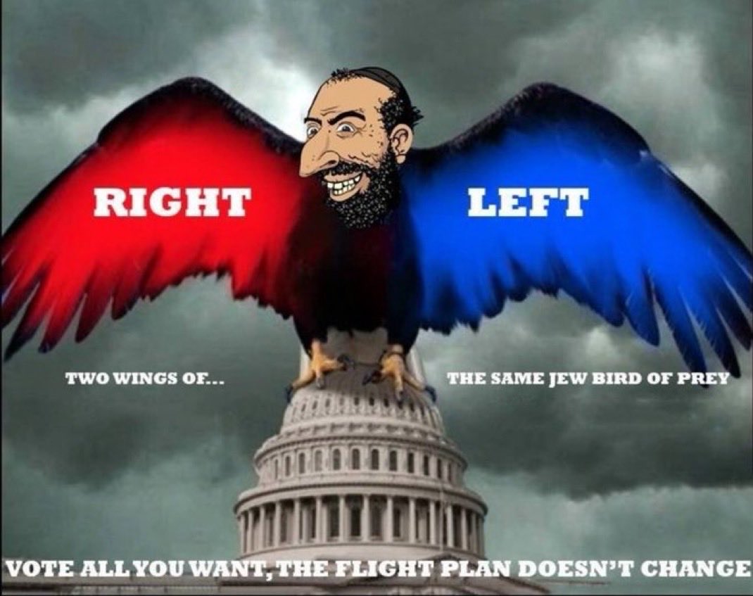 fnbs010's tweet photo. @SallySmith_pdx @BabyDeagle @ORDems lol...Oregons mailin voting is corrupt AF....and no, i dont follow that jew-lovin trump anymore than i follow the same jew loving losers in the democrat party https://t.co/gGEpy9VUsG