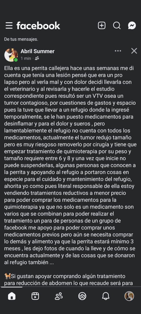 GlodeJo07's tweet photo. 🚨 AYUDA PARA ELLA, POR FAVOR 🐶💔

Esta perrita vivía en la calle y fue rescatada después de que notaran una lesión que resultó ser un TVT (tumor venéreo transmisible).
Ahora está resguardada en un refugio y necesita comenzar quimioterapia. Por su tamaño y peso requerirá entre 6 y 8 sesiones, además de medicamentos, alimento y cuidados durante al menos tres meses.
Ya hubo personas que ayudaron con medicamentos y cosas para el refugio, pero todavía falta mucho y ella depende completamente de nosotros.
Si pueden donar, comprar alguno de los productos que están vendiendo para recaudar fondos o simplemente COMPARTIR, de verdad ayuda muchísimo.
No podemos explicarle que el mundo puede ser una mierda, pero sí podemos demostrarle que también hay gente dispuesta a no dejarla sola. 🥺❤️🐾

Ayúdenme a mover esto, por favor.