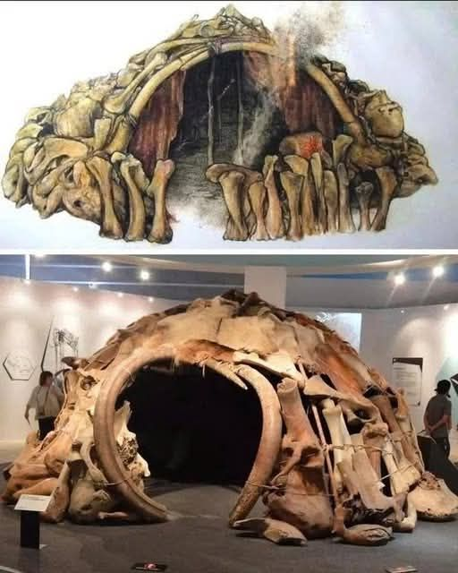 LeoDaVinciWave's tweet photo. It’s strange to think that some Ice Age homes were built from the remains of the animals that once dominated the landscape. At sites such as Mezhyrich and Kostenki, hunter-gatherers used mammoth tusks, jaws and enormous limb bones to create sturdy shelters roughly 15,000–25,000 years ago. The clever part wasn’t just having massive bones available—it was knowing how to turn irregular natural materials into a structure that could withstand brutal cold. For people living through an Ice Age, the mammoth wasn’t only food. Its remains could become the walls, frame and roof of a home.