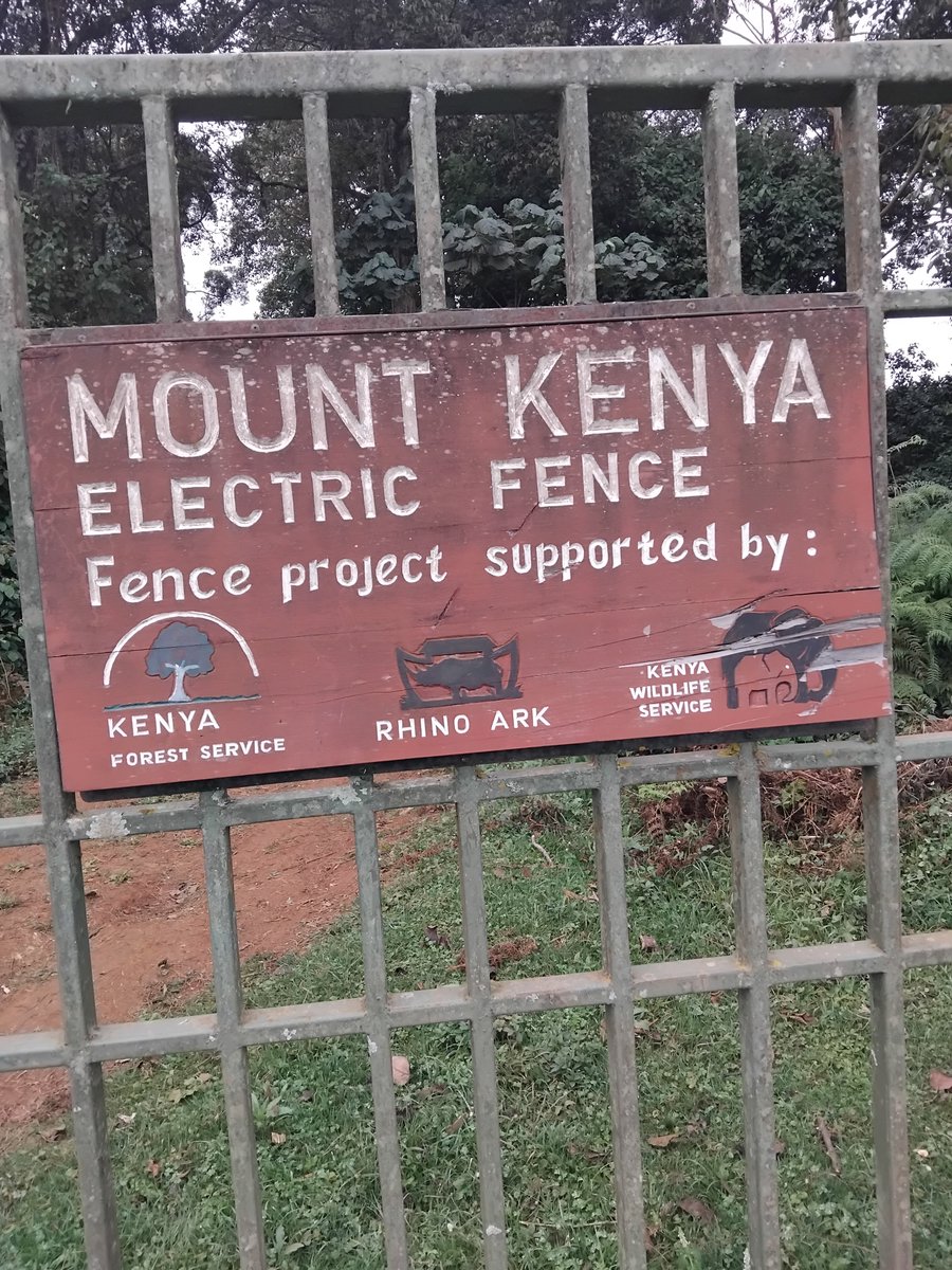 WakiliMutugi's tweet photo. @edwinsifuna Karibu mlima pia bro https://t.co/UbV33UHIbD