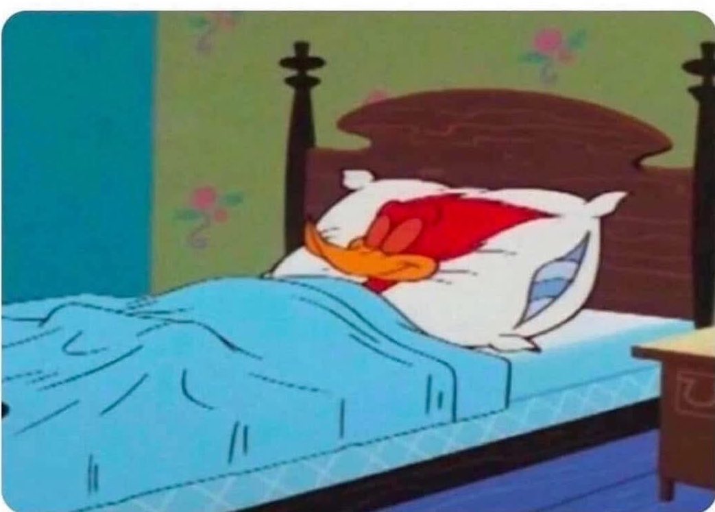 humarcianoo's tweet photo. "Vc viu a chuva que deu de madrugada? Faltou até energia" 

Eu de madrugada: https://t.co/fzfHxwFK5b