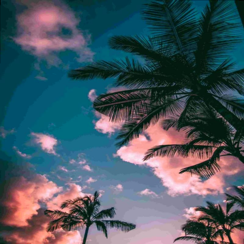 JosephJFerraro1's tweet photo. Love is something eternal; the aspect may change, but not the essence.🉑🥢🥄🍶➕ https://t.co/xHfth7UG6H