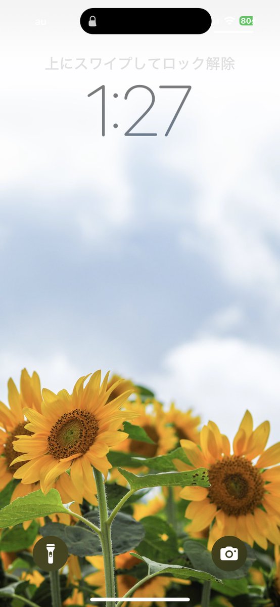 puo_games's tweet photo. 3年前とかに撮った写真だけどいい加減夏仕様にした🌻そして明日も仕事なのに寝る前にちょっとだけスマホ見るつもりがこの時間で絶望 https://t.co/bMCZIrUO4S