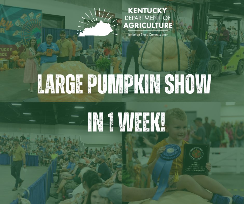 kentuckyag tweet picture