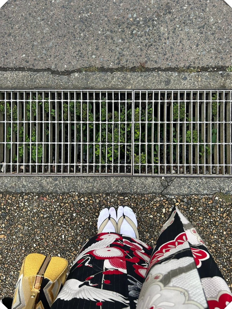 Theonly02391059's tweet photo. Spent the morning wandering the winding alleyways of Kyoto, sipped matcha from a street stall, and caught the sun filtering through ancient temple trees. This is what real slow travel feels like https://t.co/yNNV8oF2eD