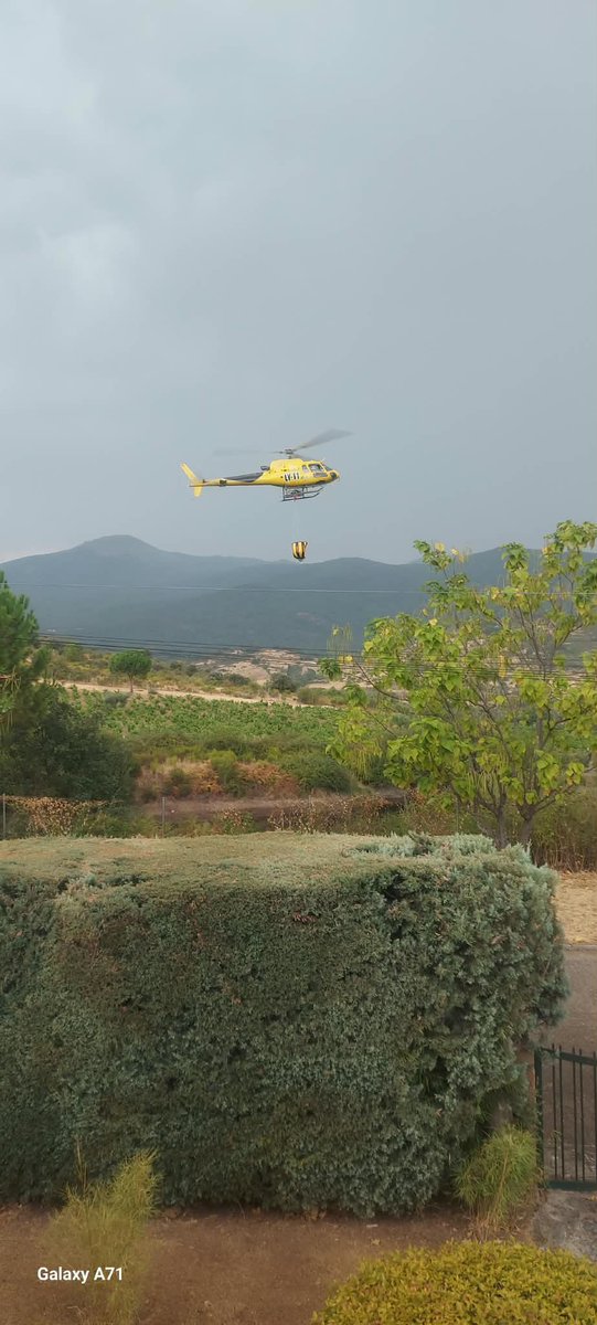 Angela_Do_Do's tweet photo. Un rayo provoca nuevo incencio entre #Navahondilla y #RozasdePuertoReal

Medios ya trabajando y cogiendo agua en piscina de la Urbanización #Navapark de #Navahondilla 

Vecinos en alerta nuevamente😮‍💨 https://t.co/PGSuyDpTa6