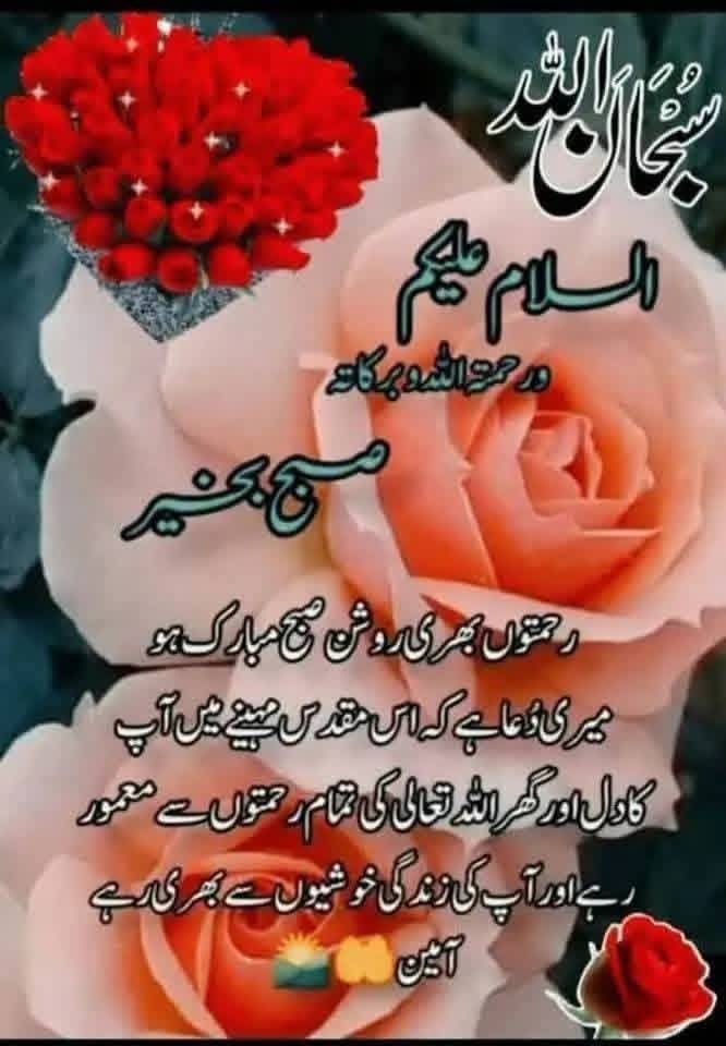 khanMHZai's tweet photo. @AnsarArooma https://t.co/quWQK3PTpN