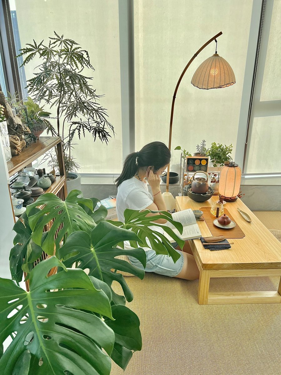 stacey05pc5's tweet photo. Just had a cozy tea with my best friend, sunshine through the window makes today feel soft and warm ， https://t.co/1wSHcFerEJ