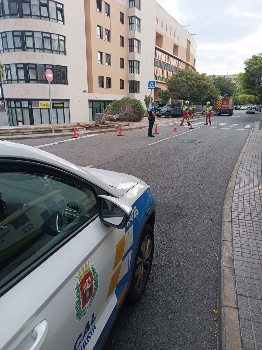 PoliciaLPA's tweet photo. Imágenes de La Minilla que hablan por sí solas: panel publicitario destrozado y un árbol arrancado tras un impacto a alta velocidad. Conductor ileso a pesar de los daños materiales y dio positivo en prueba de alcoholemia.
Podría haber sido una tragedia. Al volante, 0 alcohol. https://t.co/PQ3ZjDYoRl